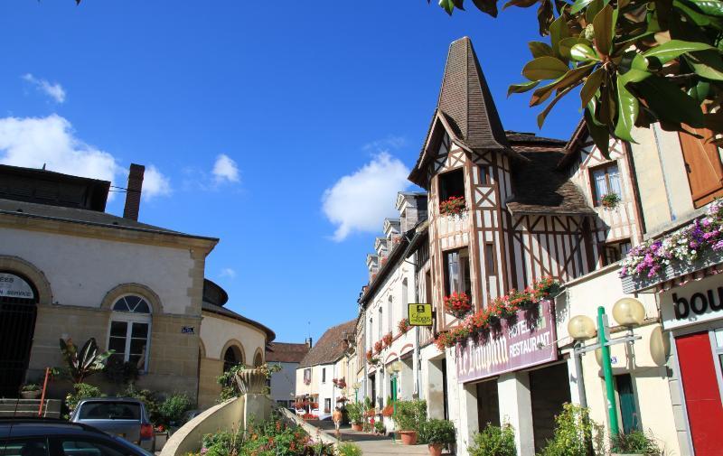 Logis Hotel Et Restaurant Du Dauphin Sées Kültér fotó